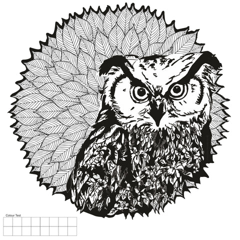 colour in owl sticker